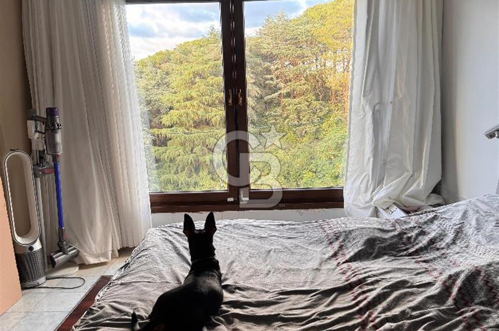 Sarıyer Kireçburnu ' nda boğaz manzaralı Kiralık daire 1+1
