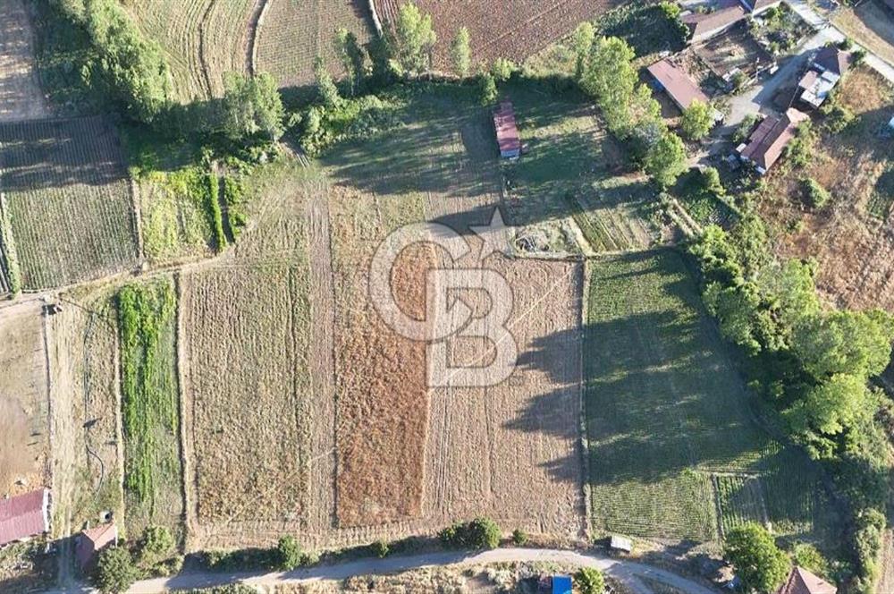 ÇANAKKALE REŞADİYE'DE TERMAL TURİZM BÖLGESİ'NDE İMARLI ARSA!