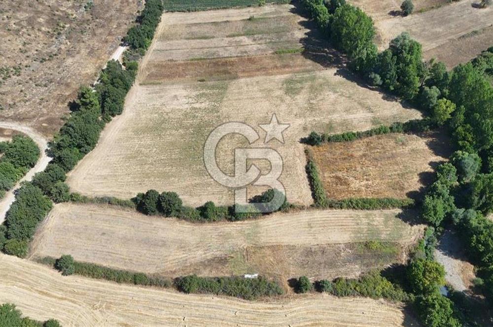 KAZDAĞLARINDA KAÇMAZ YATIRIM FIRSATI-KARABEY KÖYÜ'NDE TARLA!