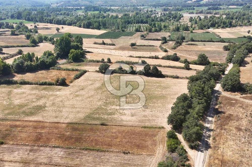 KAZDAĞLARINDA KAÇMAZ YATIRIM FIRSATI-KARABEY KÖYÜ'NDE TARLA!