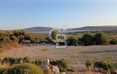 Çeşme Reisdere'de Site İçinde Satılık Tarla