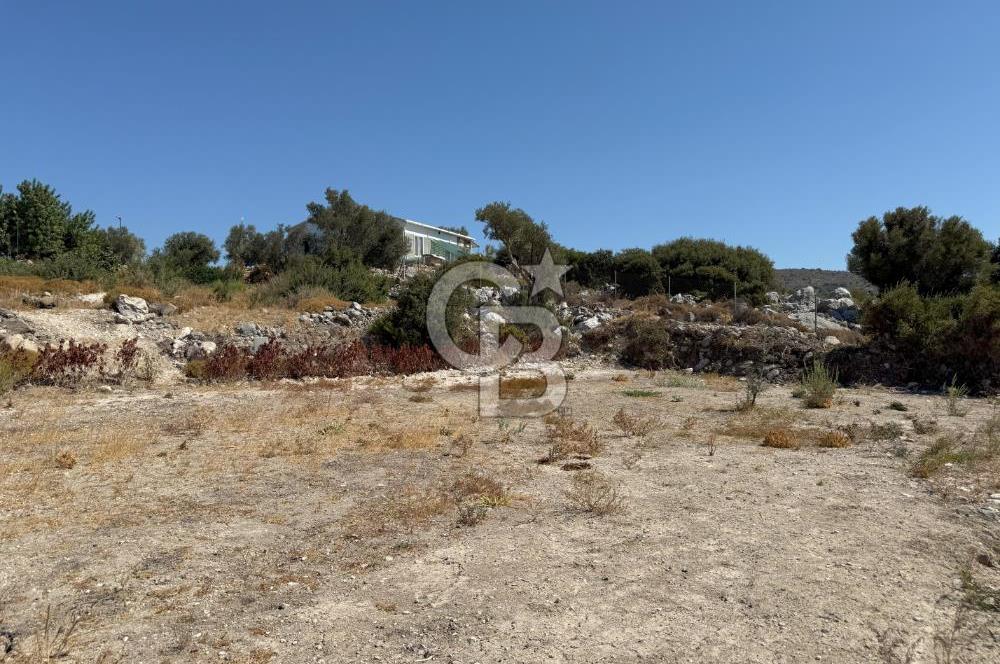 Çeşme Reisdere'de Site İçinde Satılık Tarla