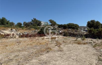 Çeşme Reisdere'de Site İçinde Satılık Tarla