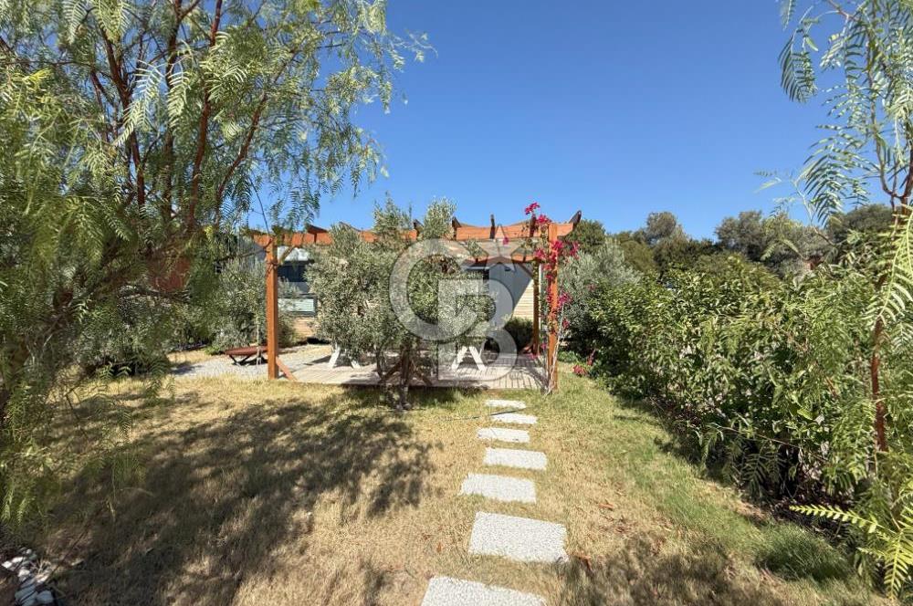 İzmir Çeşme Reisdere Satılık Tarla