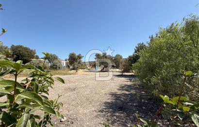 İzmir Çeşme Reisdere Satılık Tarla