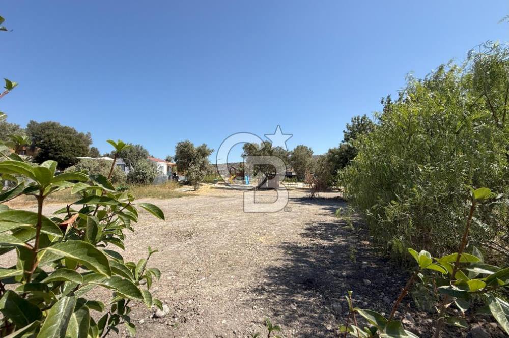 Çeşme Reisdere'de Site İçinde Satılık Tarla