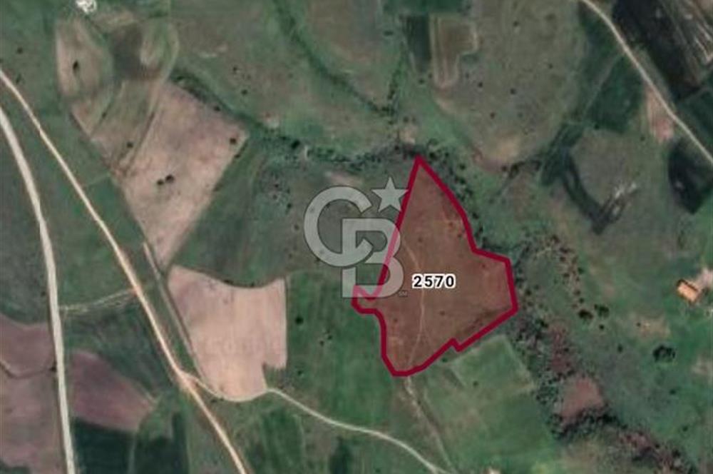 Balkesir Karesi de Satılık 19.000m2 Tek Taplu Tarla
