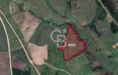 Balkesir Karesi de Satılık 19.000m2 Tek Taplu Tarla