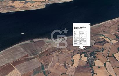 CB KİNG'DEN BALIKESİR / ALTIEYLÜL SELİMİYE MAHALLESİ SATILIK TARLA