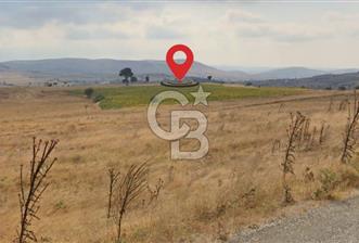 Balkesir Karesi de Satılık 19.000m2 Tek Taplu Tarla