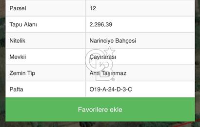 Datça'da Satılık Arazi