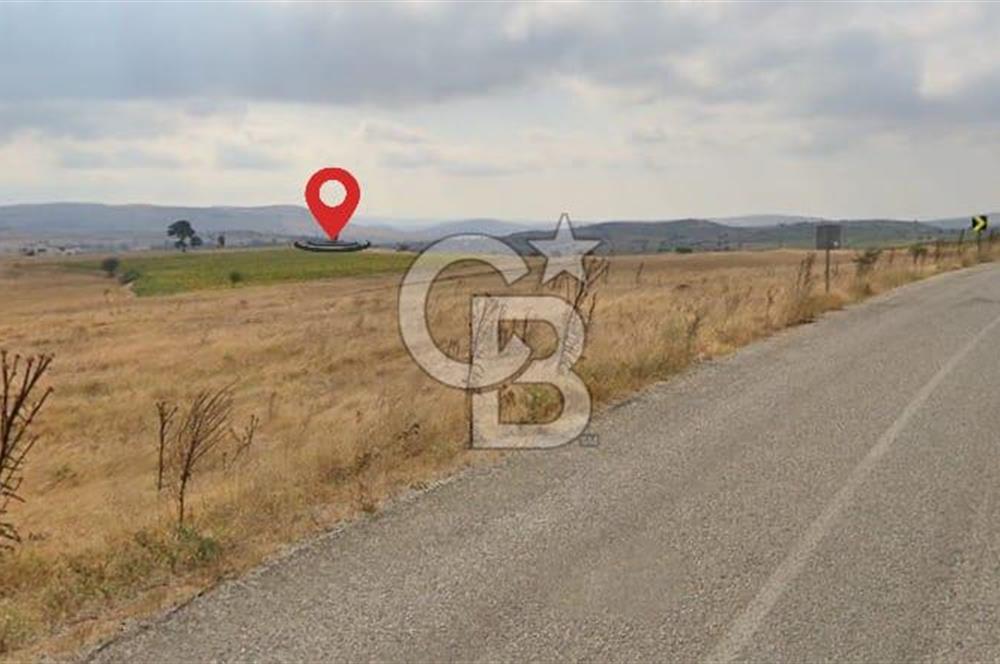 Balkesir Karesi de Satılık 19.000m2 Tek Taplu Tarla