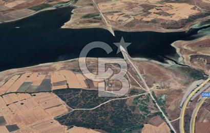 CB KİNG'DEN BALIKESİR / ALTIEYLÜL SELİMİYE MAHALLESİ SATILIK TARLA