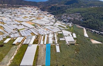 CB ARDEN'DEN ANTALYA KAŞ YEŞİLKÖY SATILIK MÜSTAKİL TARLA