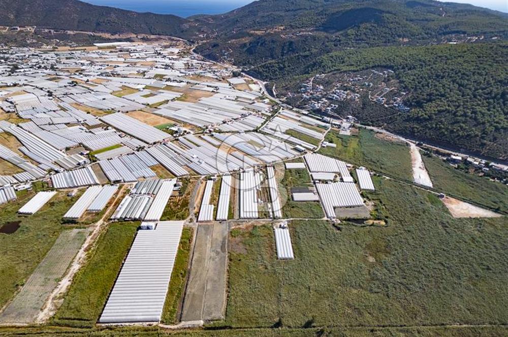 CB ARDEN'DEN ANTALYA KAŞ YEŞİLKÖY SATILIK MÜSTAKİL TARLA