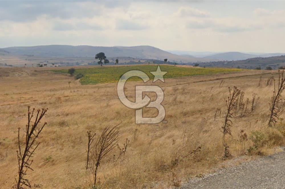 Balkesir Karesi de Satılık 19.000m2 Tek Taplu Tarla