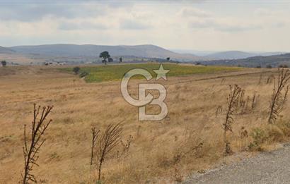 Balkesir Karesi de Satılık 19.000m2 Tek Taplu Tarla