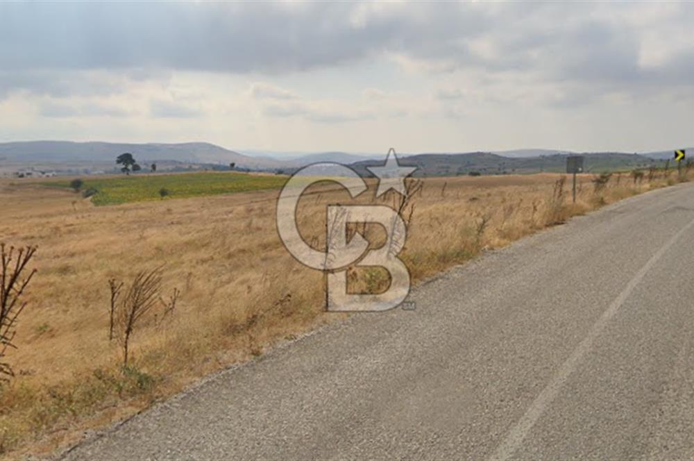 Balkesir Karesi de Satılık 19.000m2 Tek Taplu Tarla