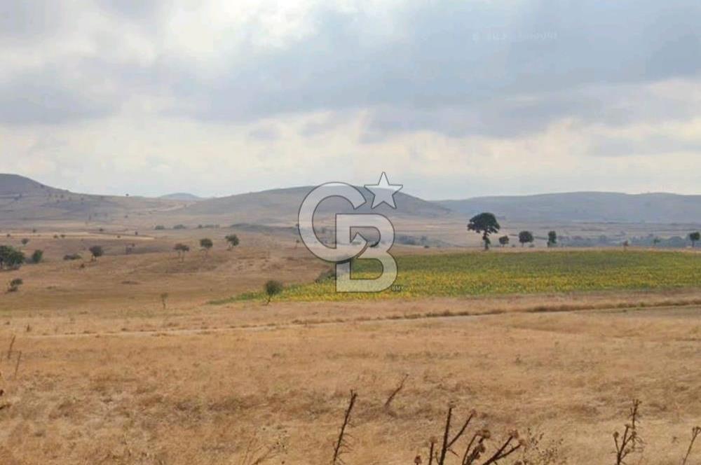 Balkesir Karesi de Satılık 19.000m2 Tek Taplu Tarla
