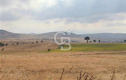 Balkesir Karesi de Satılık 19.000m2 Tek Taplu Tarla