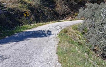 Bayındır Kızıloba’da 119 m² Asfalt Yol Üstü Zeytinlik – Takasa Uygun