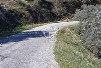 Bayındır Kızıloba’da 119 m² Asfalt Yol Üstü Zeytinlik – Takasa Uygun