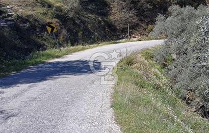 Bayındır Kızıloba’da 119 m² Asfalt Yol Üstü Zeytinlik – Takasa Uygun