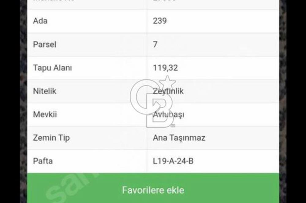 Bayındır Kızıloba’da 119 m² Asfalt Yol Üstü Zeytinlik – Takasa Uygun