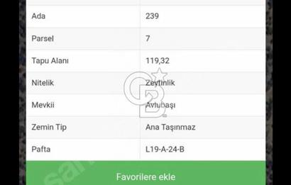 Bayındır Kızıloba’da 119 m² Asfalt Yol Üstü Zeytinlik – Takasa Uygun