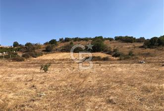 CB KİNG'DEN BALIKESİR / ALTIEYLÜL SELİMİYE MAHALLESİ SATILIK TARLA