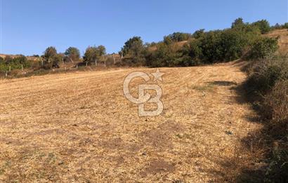 CB KİNG'DEN BALIKESİR / ALTIEYLÜL SELİMİYE MAHALLESİ SATILIK TARLA