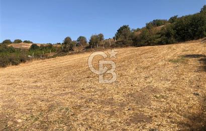CB KİNG'DEN BALIKESİR / ALTIEYLÜL SELİMİYE MAHALLESİ SATILIK TARLA