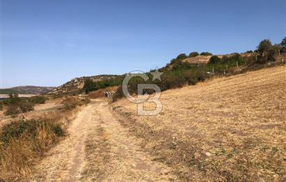 CB KİNG'DEN BALIKESİR / ALTIEYLÜL SELİMİYE MAHALLESİ SATILIK TARLA