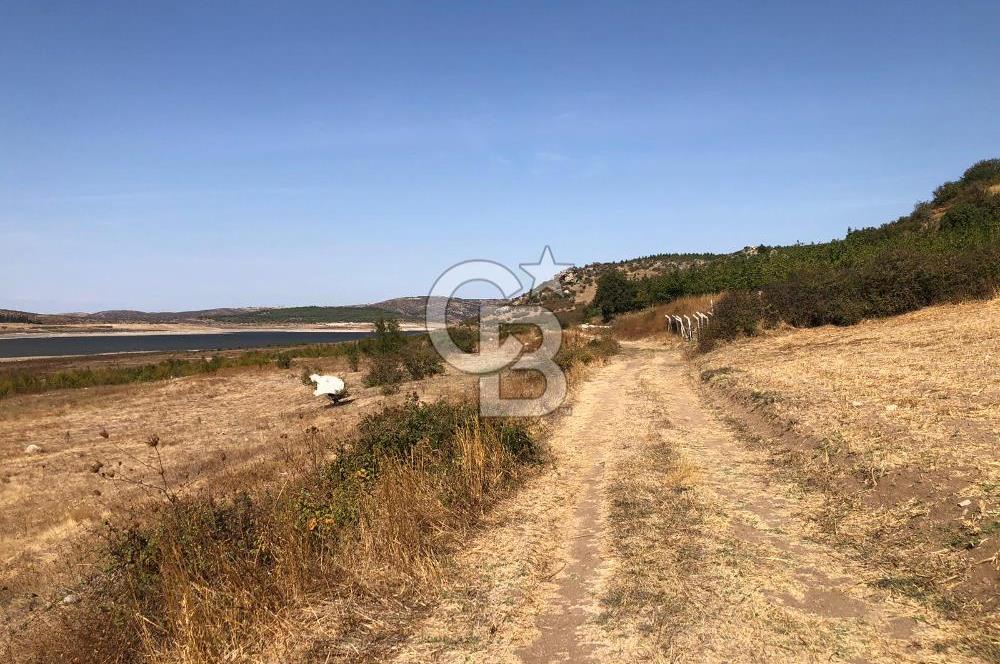 CB KİNG'DEN BALIKESİR / ALTIEYLÜL SELİMİYE MAHALLESİ SATILIK TARLA