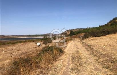 CB KİNG'DEN BALIKESİR / ALTIEYLÜL SELİMİYE MAHALLESİ SATILIK TARLA