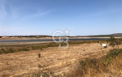 CB KİNG'DEN BALIKESİR / ALTIEYLÜL SELİMİYE MAHALLESİ SATILIK TARLA