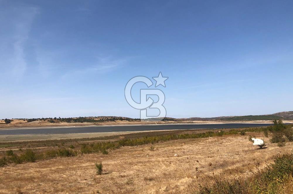 CB KİNG'DEN BALIKESİR / ALTIEYLÜL SELİMİYE MAHALLESİ SATILIK TARLA