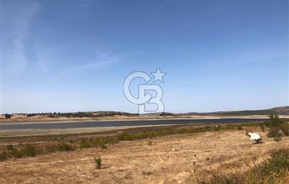 CB KİNG'DEN BALIKESİR / ALTIEYLÜL SELİMİYE MAHALLESİ SATILIK TARLA