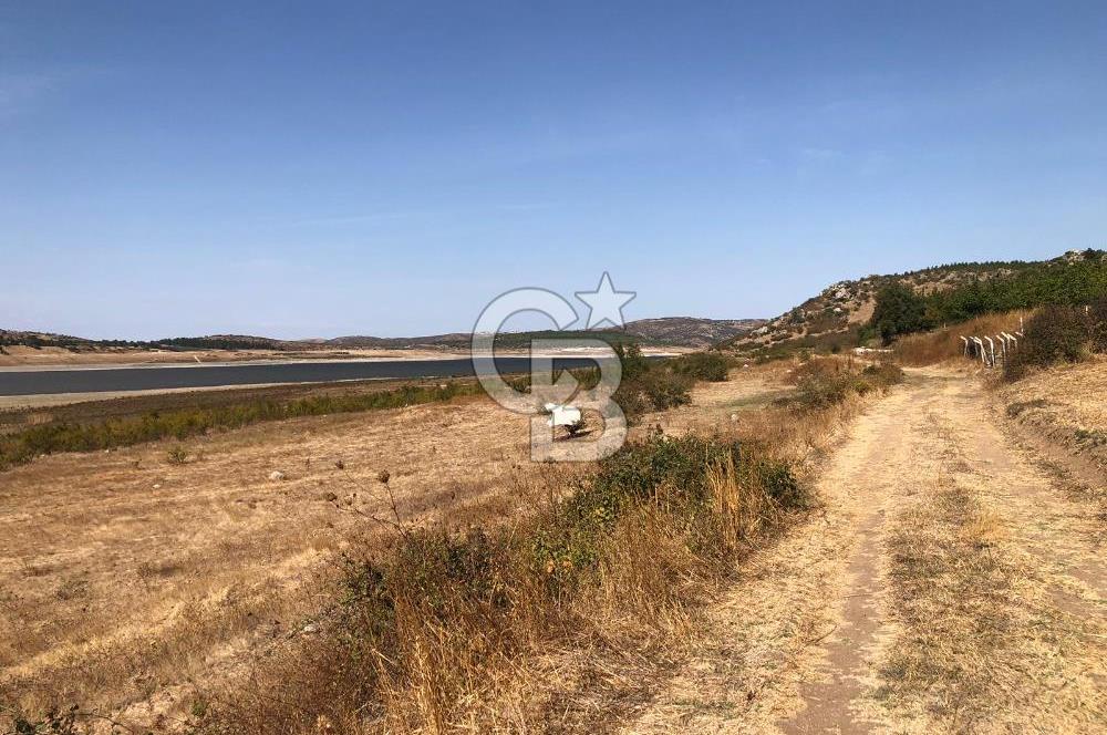 CB KİNG'DEN BALIKESİR / ALTIEYLÜL SELİMİYE MAHALLESİ SATILIK TARLA