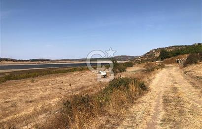 CB KİNG'DEN BALIKESİR / ALTIEYLÜL SELİMİYE MAHALLESİ SATILIK TARLA