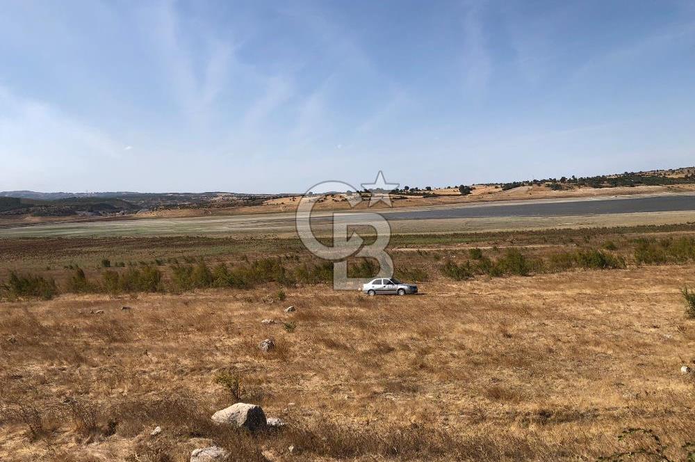 CB KİNG'DEN BALIKESİR / ALTIEYLÜL SELİMİYE MAHALLESİ SATILIK TARLA