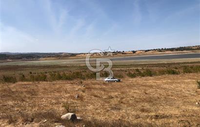 CB KİNG'DEN BALIKESİR / ALTIEYLÜL SELİMİYE MAHALLESİ SATILIK TARLA