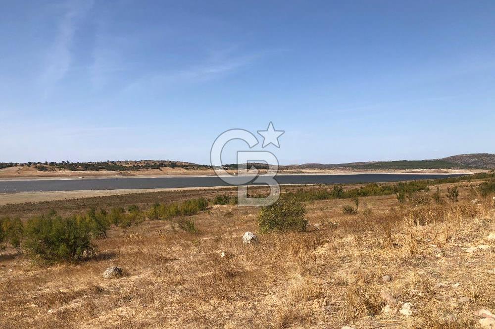 CB KİNG'DEN BALIKESİR / ALTIEYLÜL SELİMİYE MAHALLESİ SATILIK TARLA