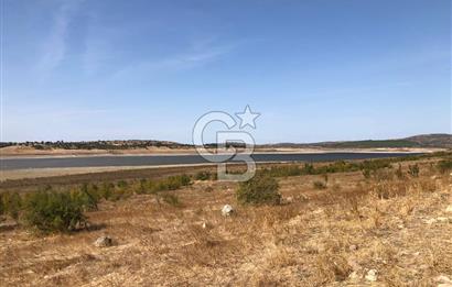 CB KİNG'DEN BALIKESİR / ALTIEYLÜL SELİMİYE MAHALLESİ SATILIK TARLA