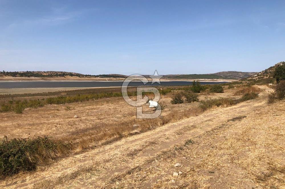 CB KİNG'DEN BALIKESİR / ALTIEYLÜL SELİMİYE MAHALLESİ SATILIK TARLA