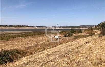 CB KİNG'DEN BALIKESİR / ALTIEYLÜL SELİMİYE MAHALLESİ SATILIK TARLA