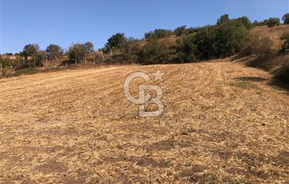 CB KİNG'DEN BALIKESİR / ALTIEYLÜL SELİMİYE MAHALLESİ SATILIK TARLA