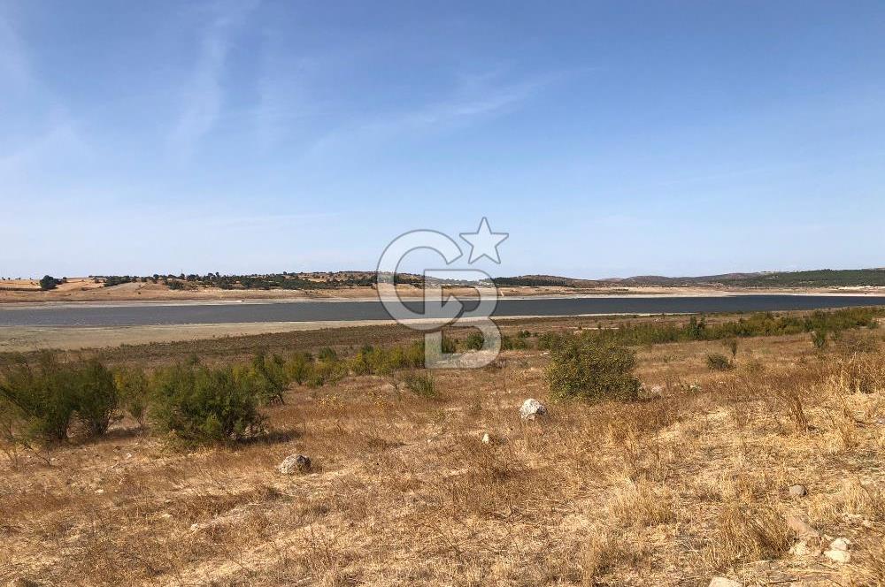 CB KİNG'DEN BALIKESİR / ALTIEYLÜL SELİMİYE MAHALLESİ SATILIK TARLA