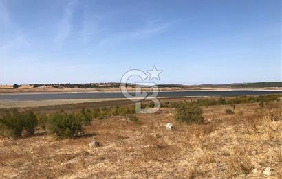 CB KİNG'DEN BALIKESİR / ALTIEYLÜL SELİMİYE MAHALLESİ SATILIK TARLA