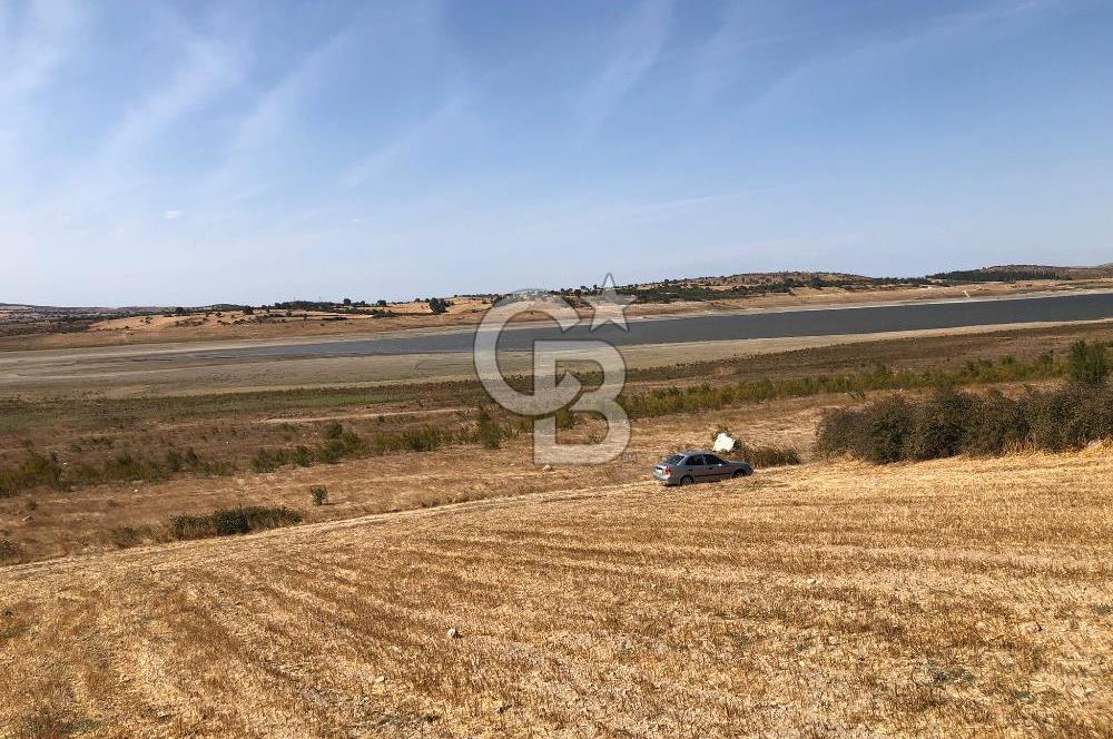 CB KİNG'DEN BALIKESİR / ALTIEYLÜL SELİMİYE MAHALLESİ SATILIK TARLA